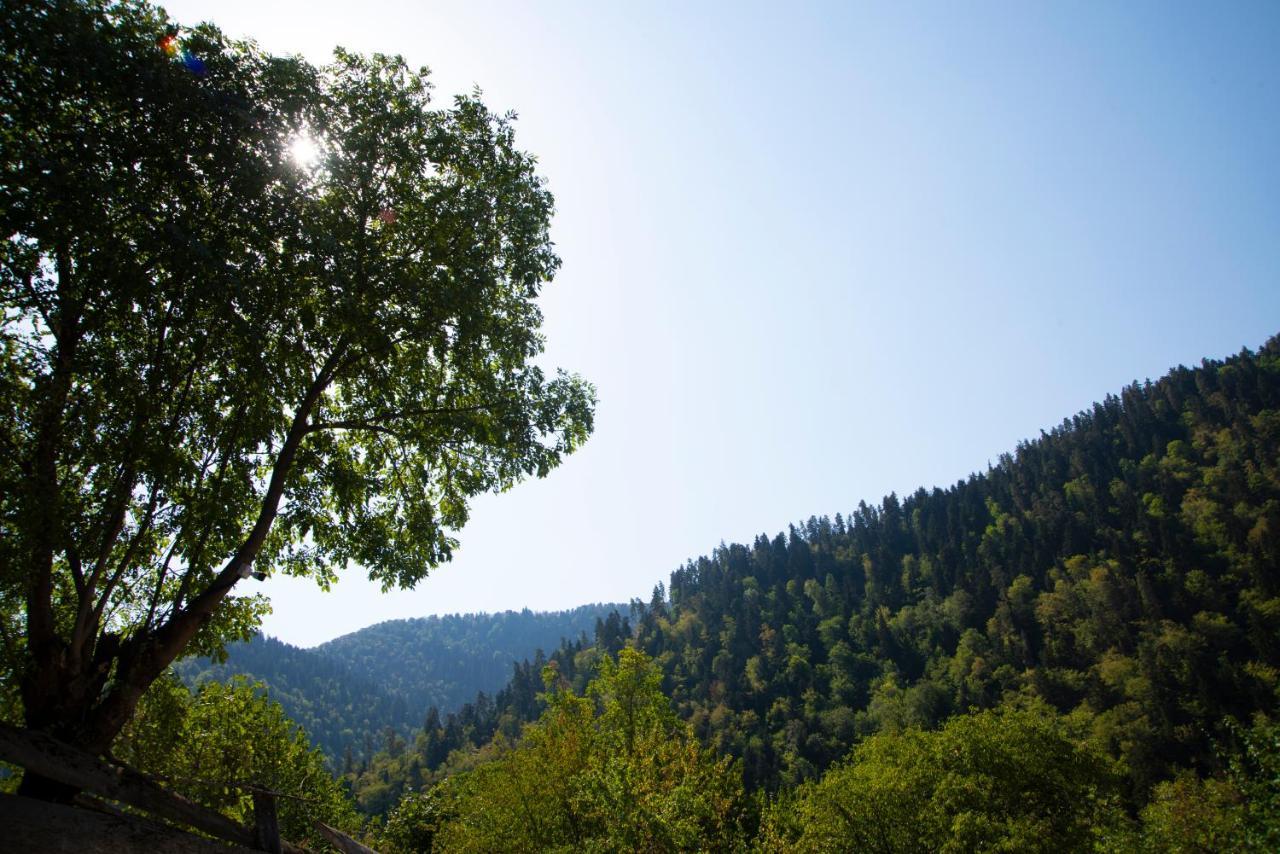 Landhaus Borjomi Bagian luar foto