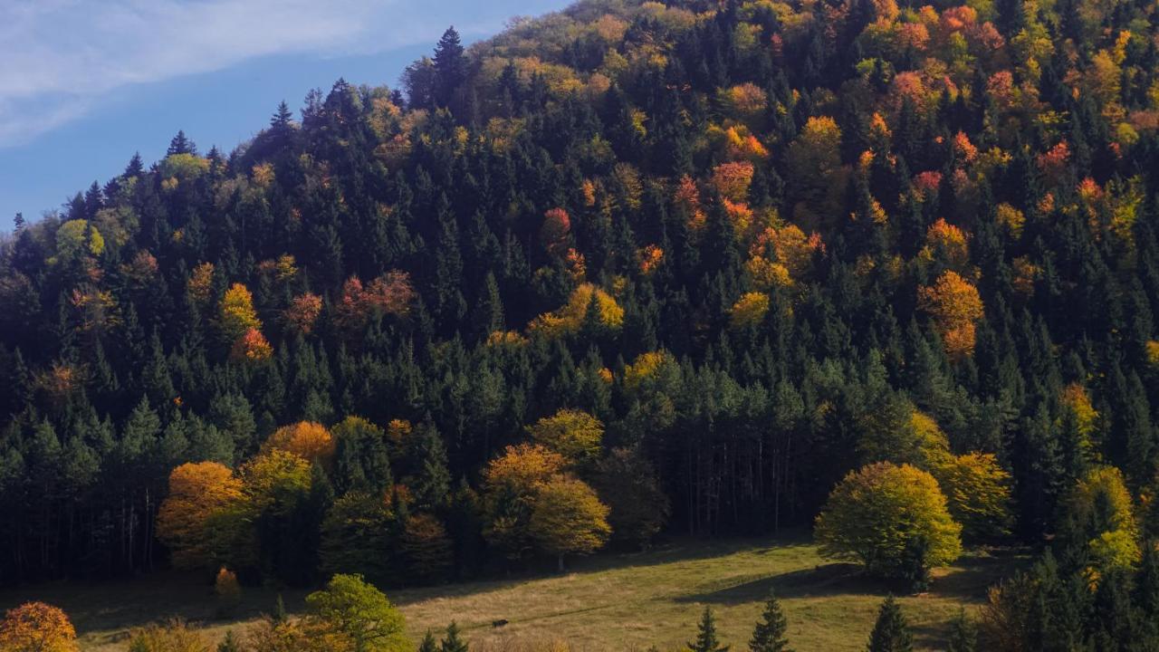Landhaus Borjomi Bagian luar foto