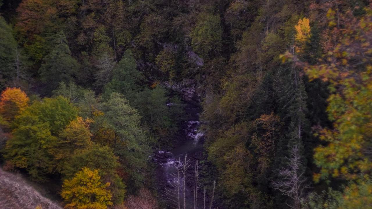 Landhaus Borjomi Bagian luar foto