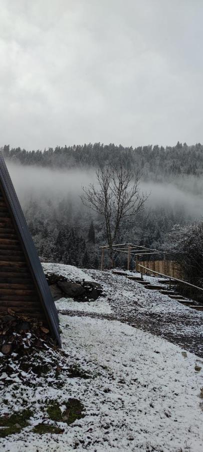 Landhaus Borjomi Bagian luar foto