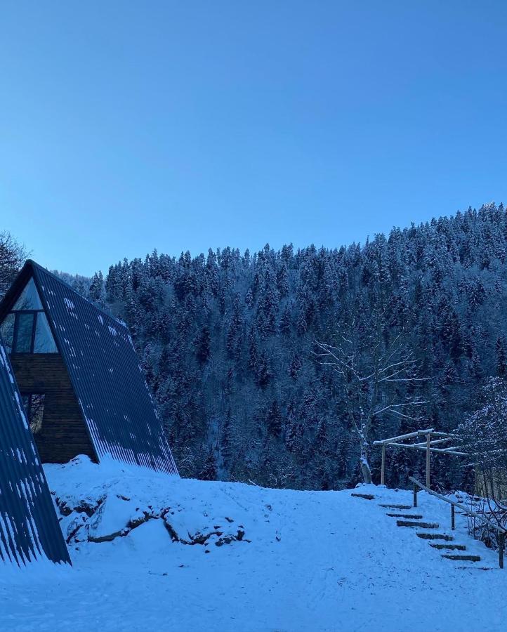 Landhaus Borjomi Bagian luar foto