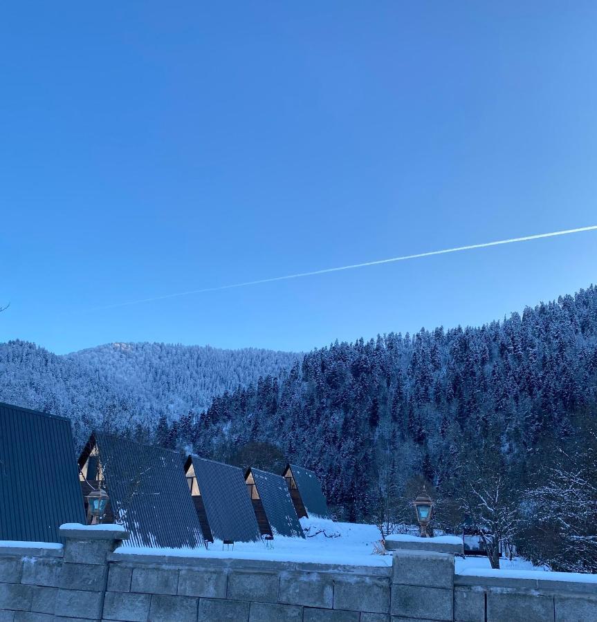 Landhaus Borjomi Bagian luar foto