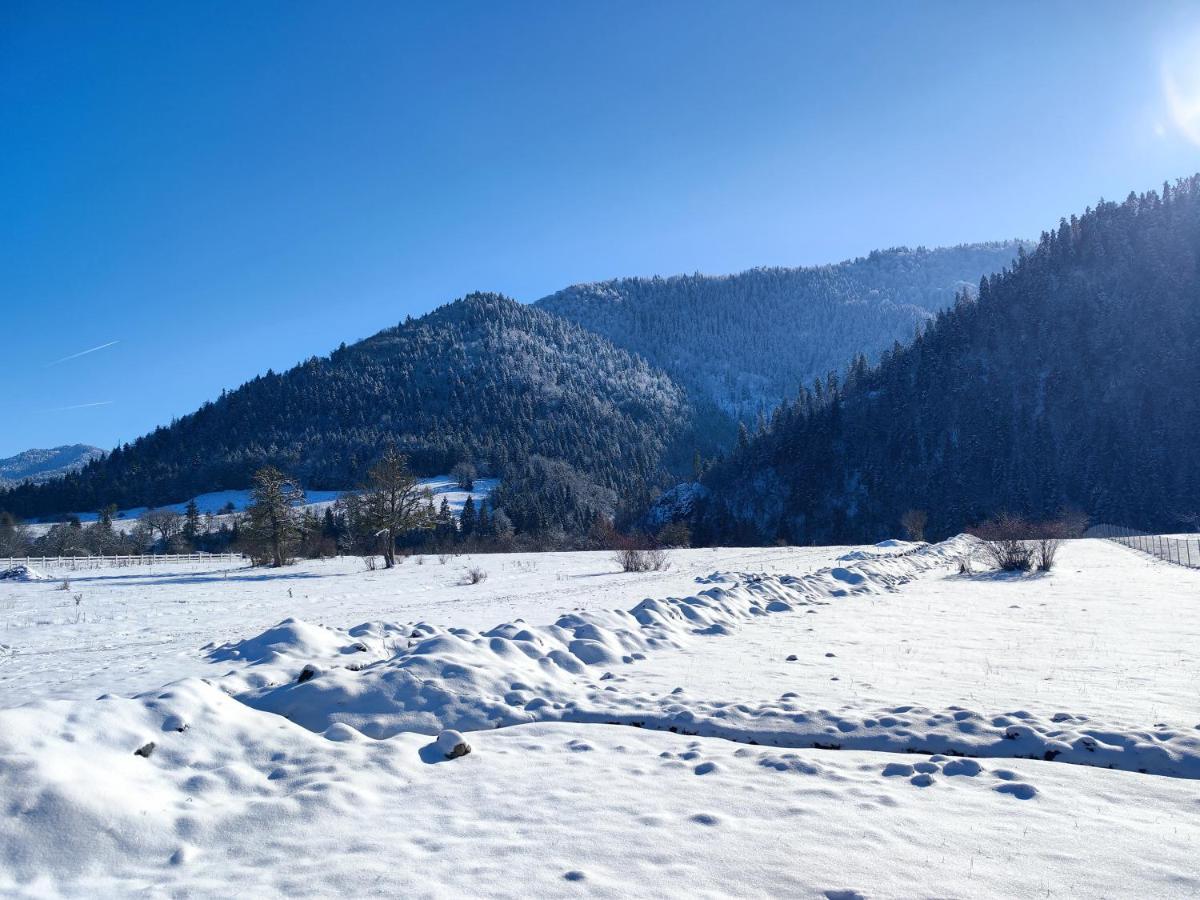Landhaus Borjomi Bagian luar foto