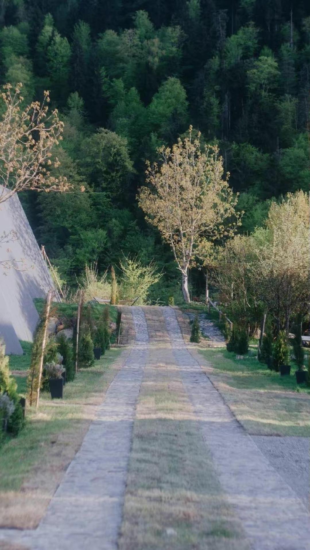 Landhaus Borjomi Bagian luar foto