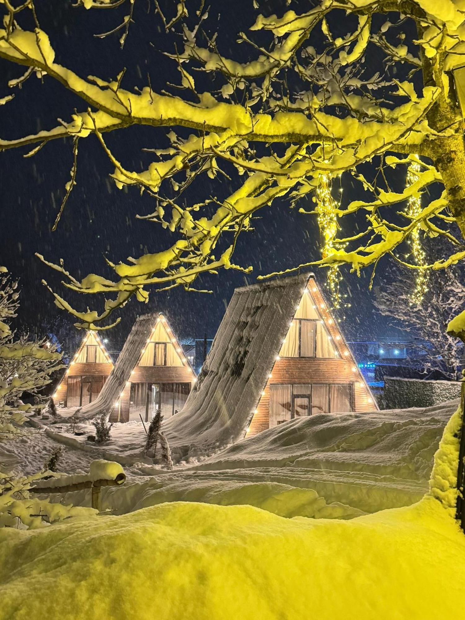 Landhaus Borjomi Bagian luar foto